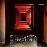 cover: Chris Drifter - Vibration