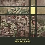 cover: Around Paradise - Molecula 02