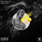 cover: Carl Waller - How I Feel