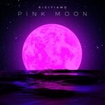 cover: Rigitiamo - Pink Moon