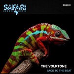 cover: The Volktone - Back To The Beat