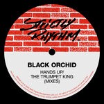 cover: Black Orchid - Hands Up/The Trumpet King (Mixes)