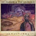 cover: Joe Pilgrim|The Ligerians - Intuitions