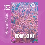 cover: Various - EDM LOVE