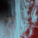 cover: David A. Molina - Flight