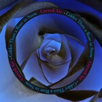 cover: Curved Air - Colder Than A Rose In Snow