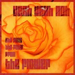 cover: Yeah Yeah Noh - She Pulls The Petal From The Flower