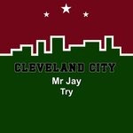 cover: Mr Jay - Try