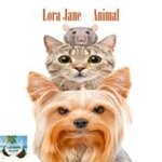 cover: Lora Jane - Animal