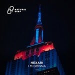 cover: Hexari - I M Gonna (Extended Mix)