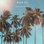 cover: Christo Ferti - Hold Up