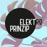 cover: Elektroprinzip - Ungluckliche Liebe