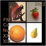 cover: Johannes Schimpelsberger - FMco No XXXIX 2022