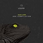 cover: Various - Black Lizard ADE Compilation