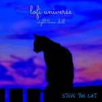 cover: Steve The Cat - #Lofi Universe Night Time Chill (Counting Stars Version)