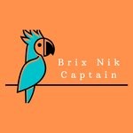 cover: Brix Nik - Captain