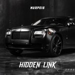 cover: Nurpeis - Hidden Link