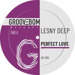 cover: Lesny Deep - Perfect Love (Original Mix)