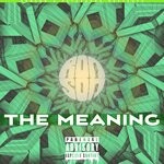 cover: Rex Venom|Ronson - The Meaning