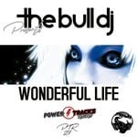 cover: The Bull Dj - Wonderful Life