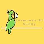 cover: Rosmundo Pp - Sunny