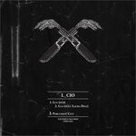 cover: L_cio - Lua