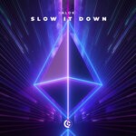 cover: Alok - Slow It Down