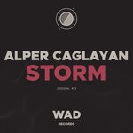 cover: Alper Caglayan - Storm (Original Mix)