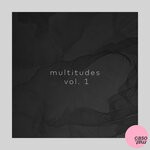 cover: Various - Multitudes Vol 1