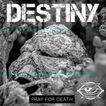 cover: Destiny - Pray For Death