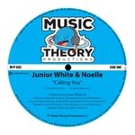 cover: Junior White-noelle - Calling You