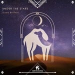 cover: Cafe De Anatolia|Goda Brother - Under The Stars