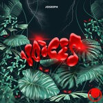 cover: Joseeph - Voices