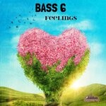 cover: Bass6 - Feelings