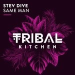 cover: Stev Dive - Same Man