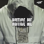 cover: Mist - Notice Me