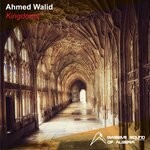 cover: Ahmed Walid - Kingdoms