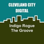 cover: Indigo Rogue - The Groove