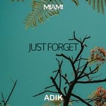 cover: Adik - Just Forget