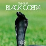 cover: Transmir - Black Cobra