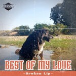 cover: Broken Lip - Best Of My Love