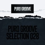 cover: Various - PURO GROOVE SELECTION 028