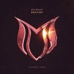 cover: Edu Bravo - Destiny