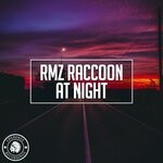 cover: Rmz Raccoon - At Night