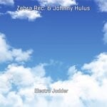 cover: Johnny Hulus|Zebra Rec. - Electro Judder