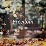 cover: Various - Freedom