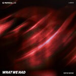 cover: Sofus Wiene - What We Had