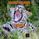 cover: Marco Galardi Pulse - Visul