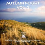 cover: Various - Autumn Flight, Vol 3