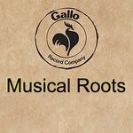 cover: Musical Roots - Musical Roots